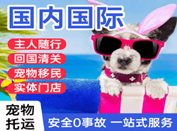 大庆机场空运国际宠物托运 【国